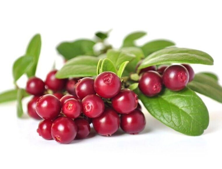 cranberry capsules Predstonorm